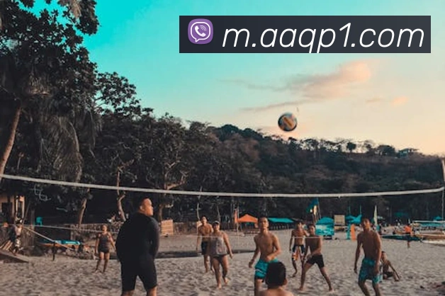 体育直播服务